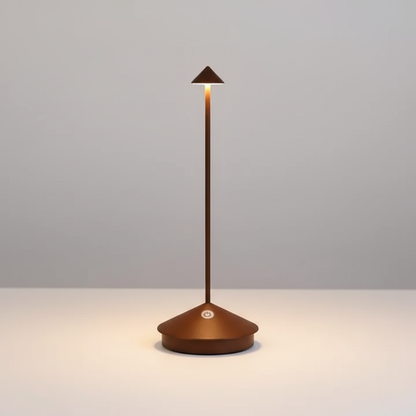 Stylish LED Desk Lamp