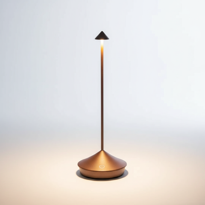 Stylish LED Desk Lamp