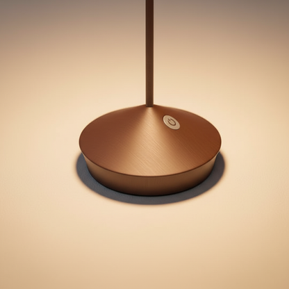 Stylish LED Desk Lamp