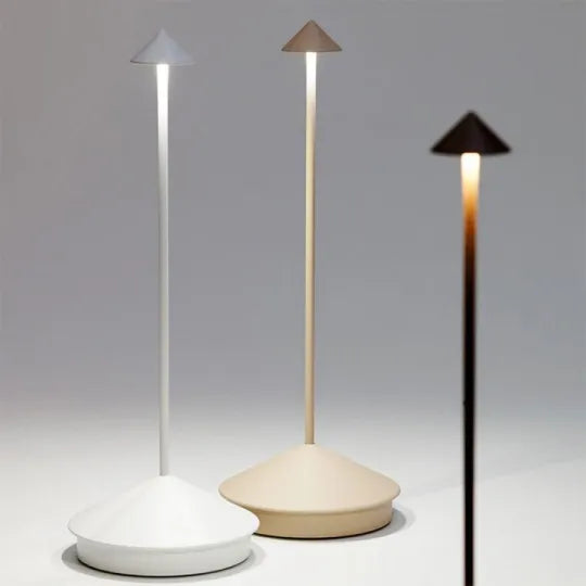 Stylish LED Desk Lamp