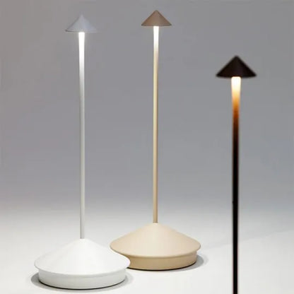 Stylish LED Desk Lamp