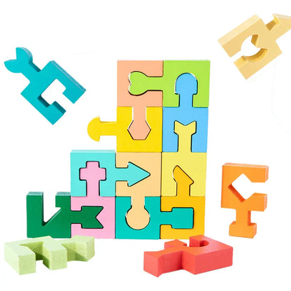 Fesara Fun Brain Teaser Puzzle