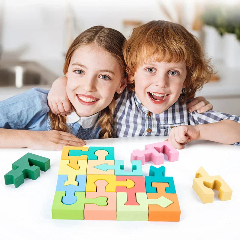 Fesara Fun Brain Teaser Puzzle - Fesara