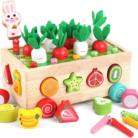 Colorful Wooden Shape Sorting Toy for Kids - Fesara