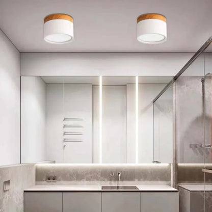 Simple Modern LED Ceiling Lamp
