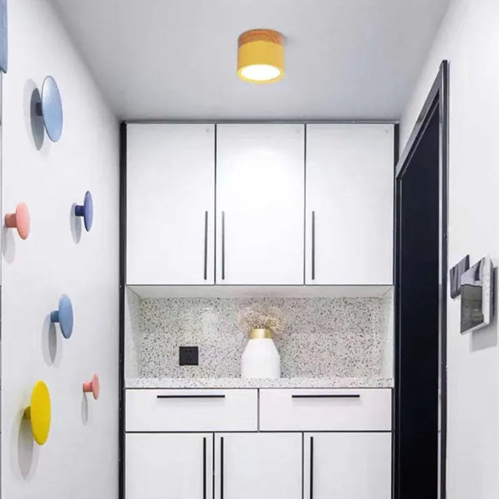 Simple Modern LED Ceiling Lamp