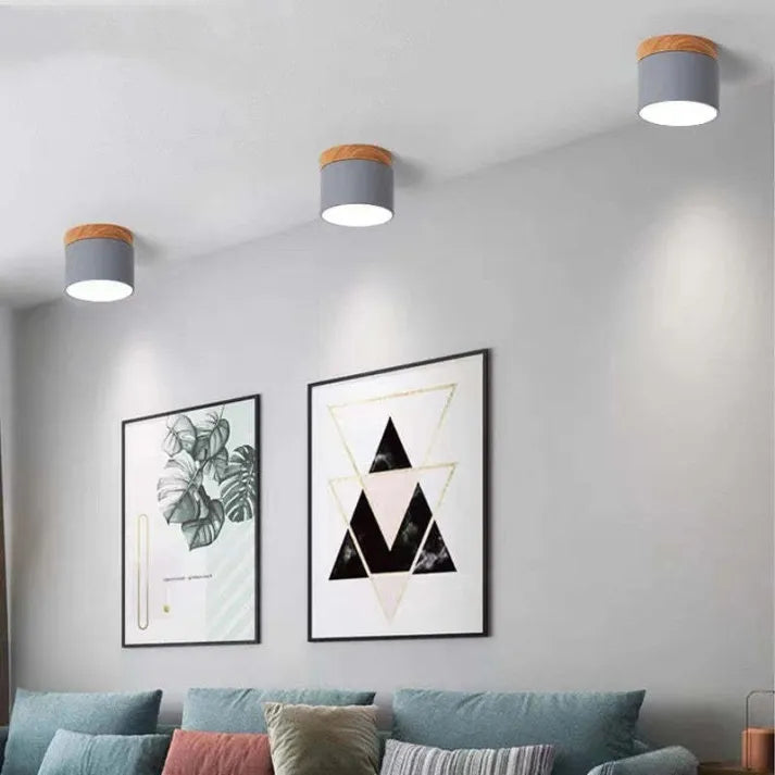 Simple Modern LED Ceiling Lamp