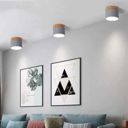 Simple Modern LED Ceiling Lamp