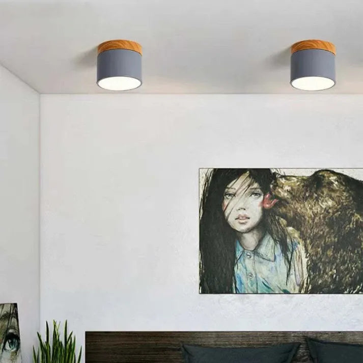 Simple Modern LED Ceiling Lamp