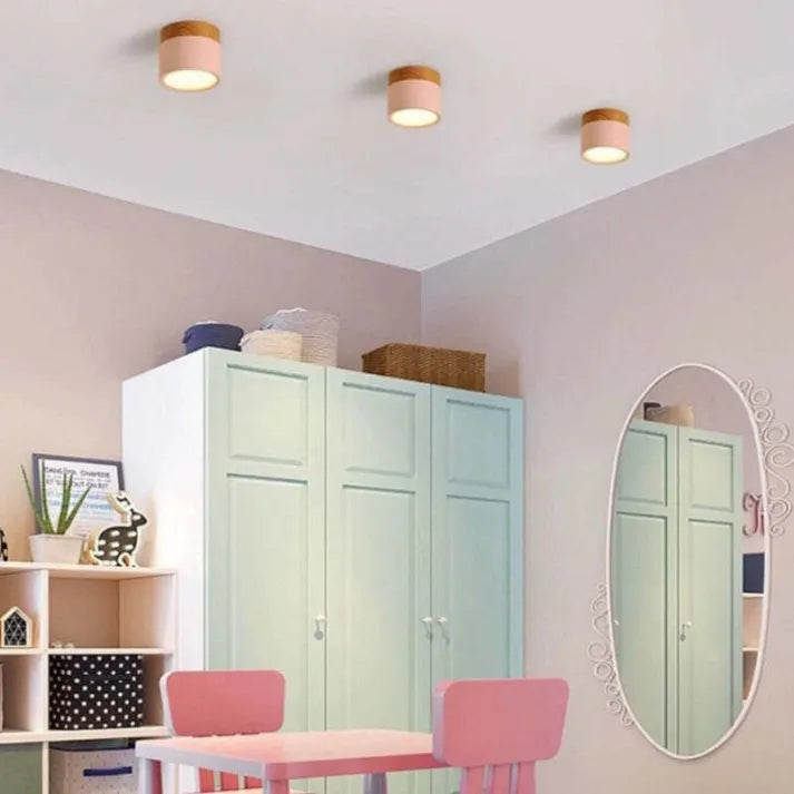 Simple Modern LED Ceiling Lamp