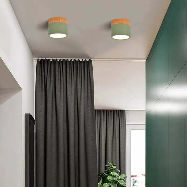 Simple Modern LED Ceiling Lamp