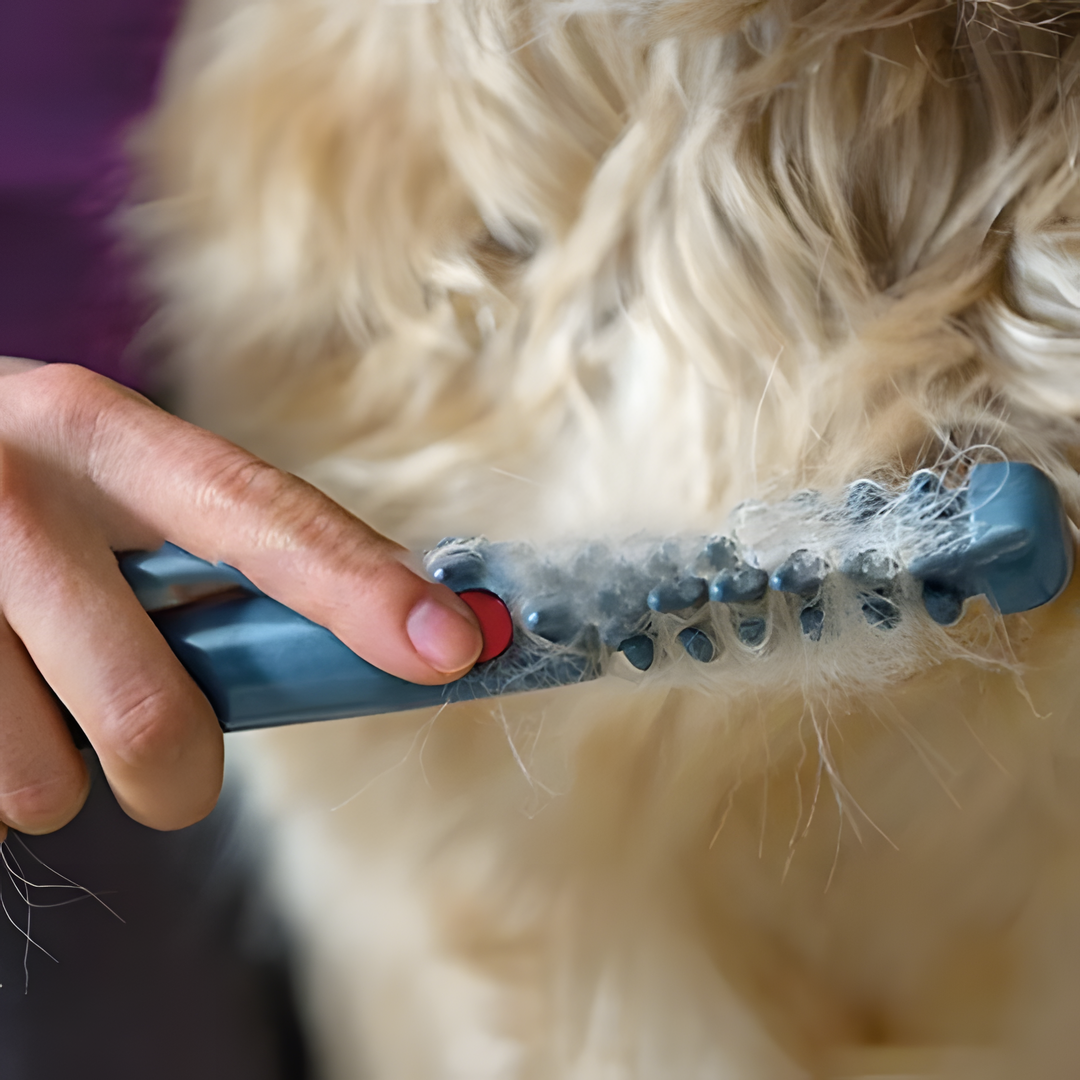 Detangling Pet Brush for Easy Grooming