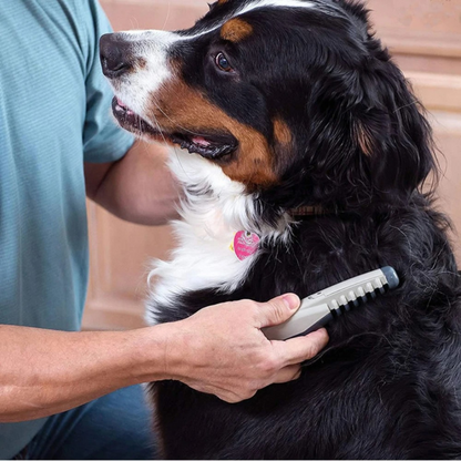 Detangling Pet Brush for Easy Grooming