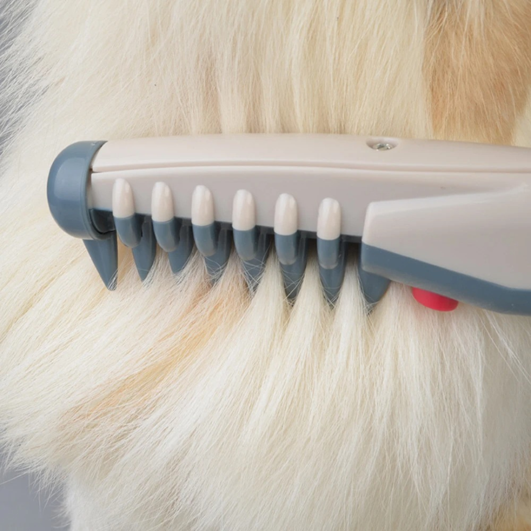 Detangling Pet Brush for Easy Grooming