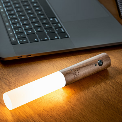 Bright LED Outdoor Motion Lamp