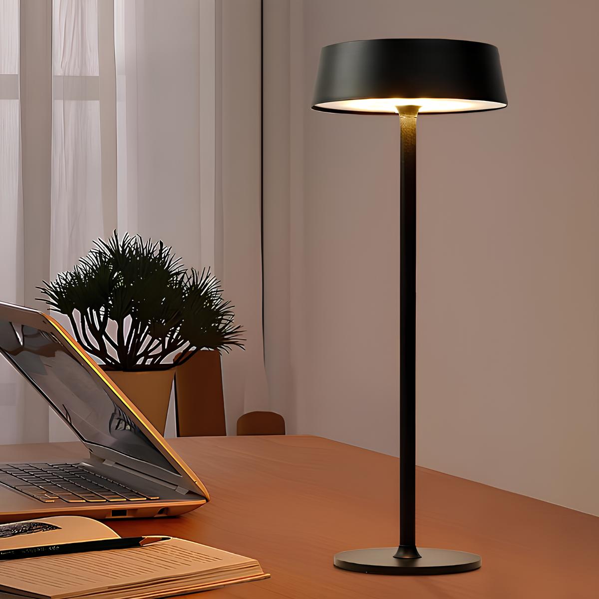 Stylish Contemporary Desk Lamp - Fesara
