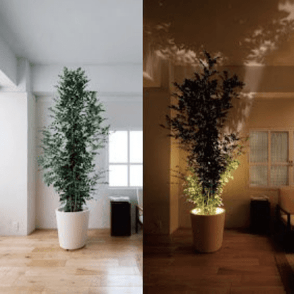 Compact LED Table Lamp Portable Light