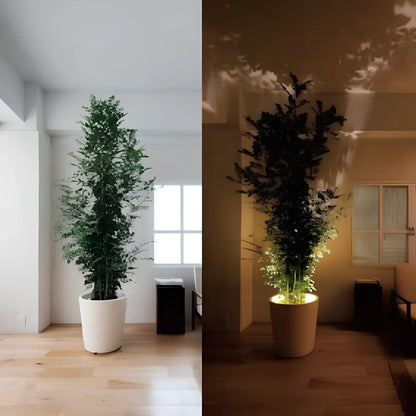 Bright Battery Powered Table Spotlight for Home