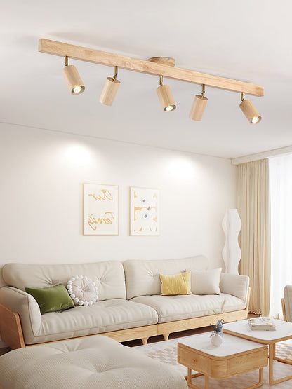 Asian Style Dimmable LED Spot Light Fixture