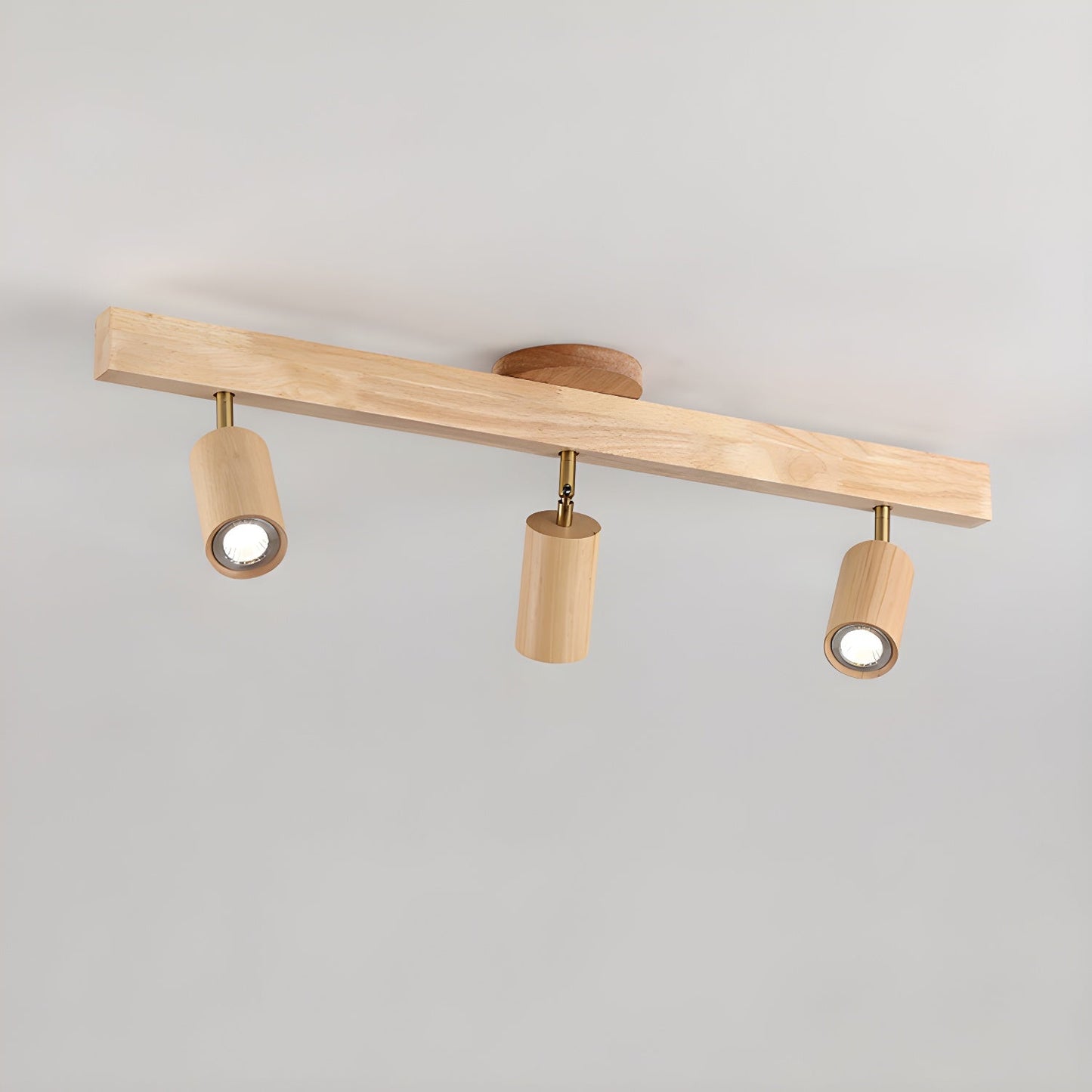 Asian Style Dimmable LED Spot Light Fixture
