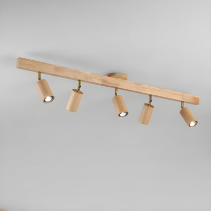 Asian Style Dimmable LED Spot Light Fixture