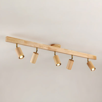 Asian Style Dimmable LED Spot Light Fixture
