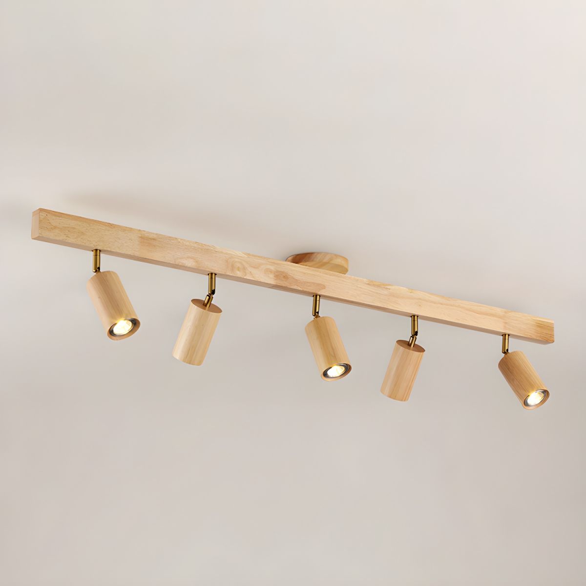 Asian Style Dimmable LED Spot Light Fixture