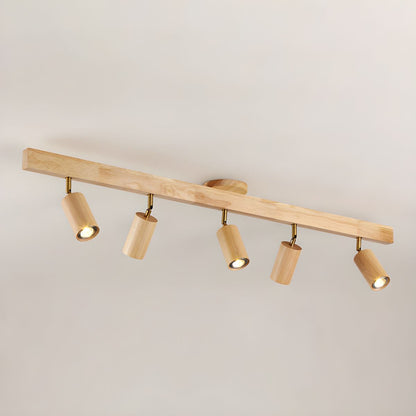 Asian Style Dimmable LED Spot Light Fixture