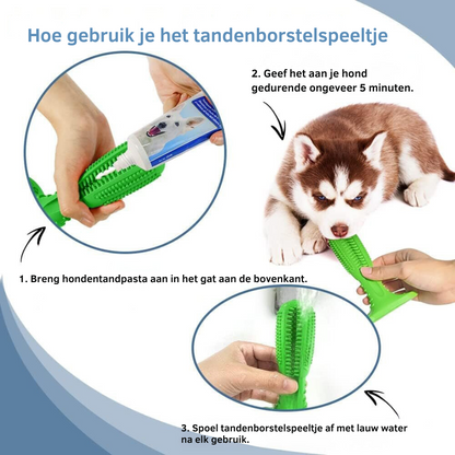 Durable Dog Toothbrush Toy – Tough Natural Rubber Chew Toy for Dental Health and Fresh Breath-4