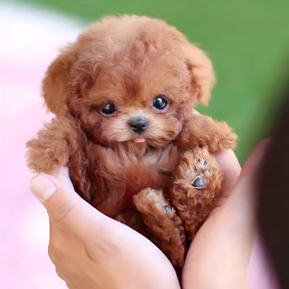 Fesara Interactive Puppy Toy Realistic Pet Dog for Children - Fesara
