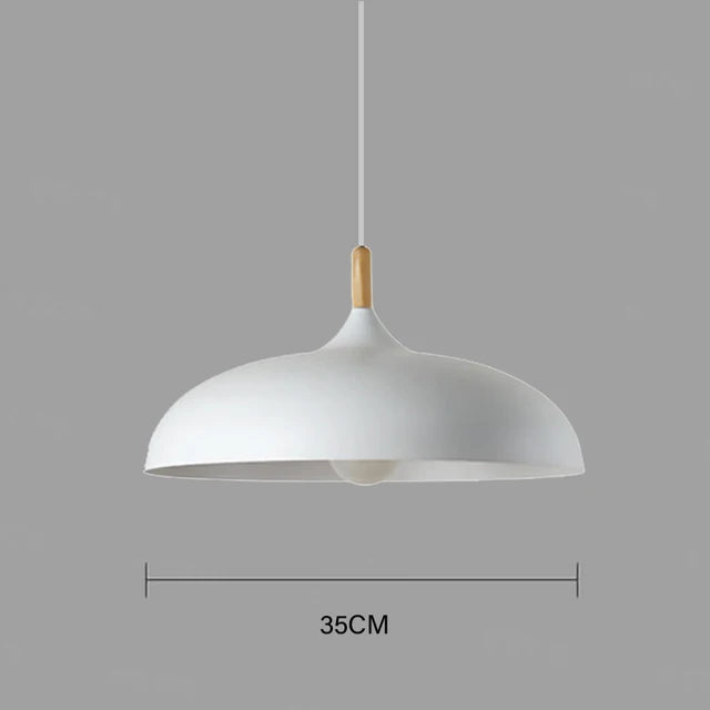 Contemporary Pendant Hanging Light Fixture