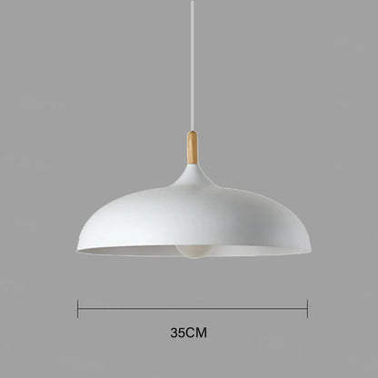 Contemporary Pendant Hanging Light Fixture