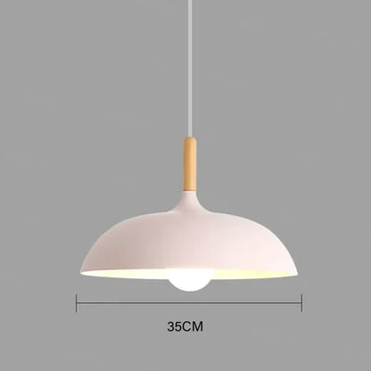 Natural Wood Ceiling Lamp