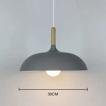 Natural Wood Ceiling Lamp