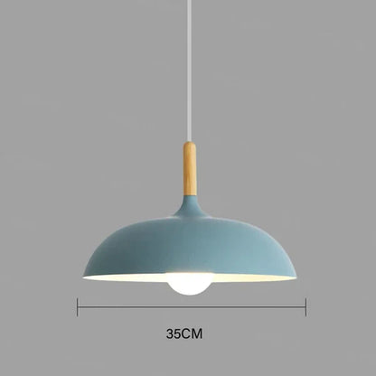 Natural Wood Ceiling Lamp