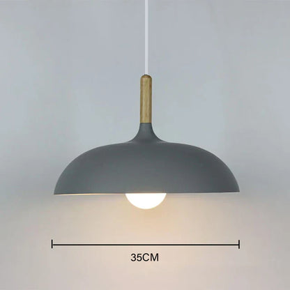 Contemporary Pendant Hanging Light Fixture
