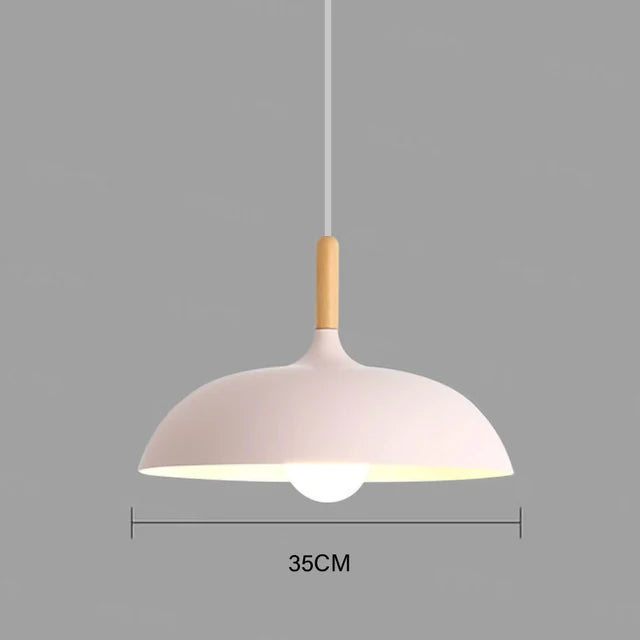 Contemporary Pendant Hanging Light Fixture