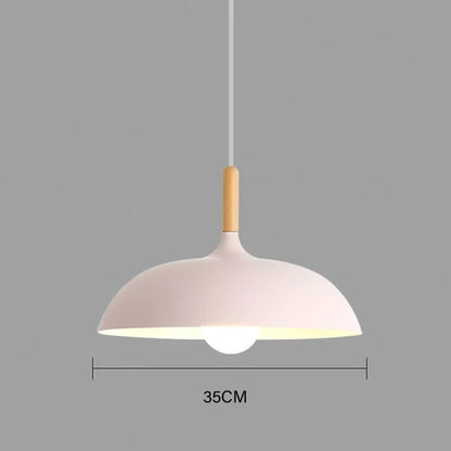 Contemporary Pendant Hanging Light Fixture