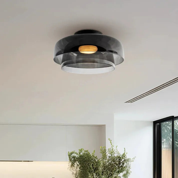 Elegant Clear Glass Pendant Light