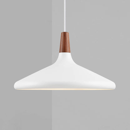 Simple Elegant Pendant Light for Home Ceiling
