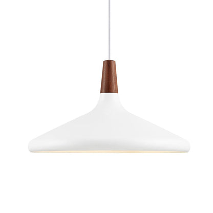 Simple Elegant Pendant Light for Home Ceiling