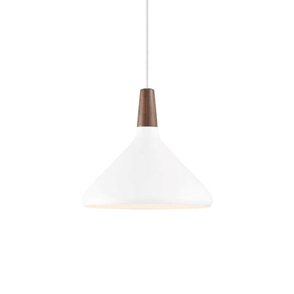 Simple Elegant Pendant Light for Home Ceiling