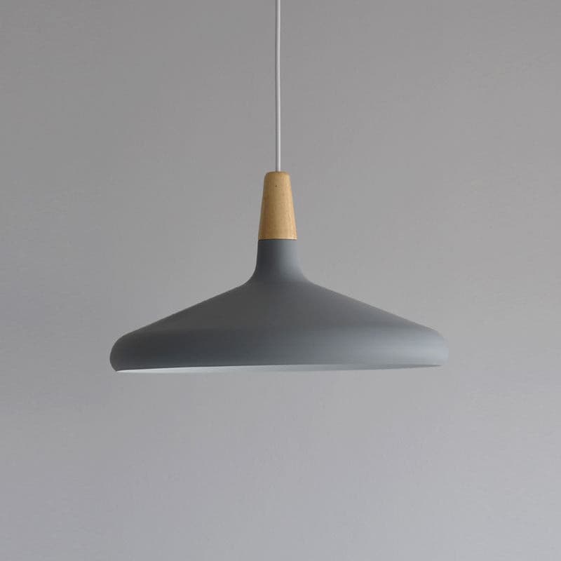Simple Elegant Pendant Light for Home Ceiling
