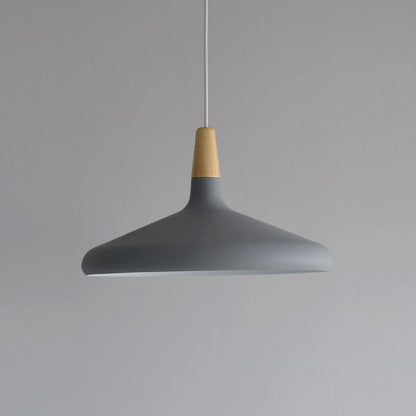 Simple Elegant Pendant Light for Home Ceiling