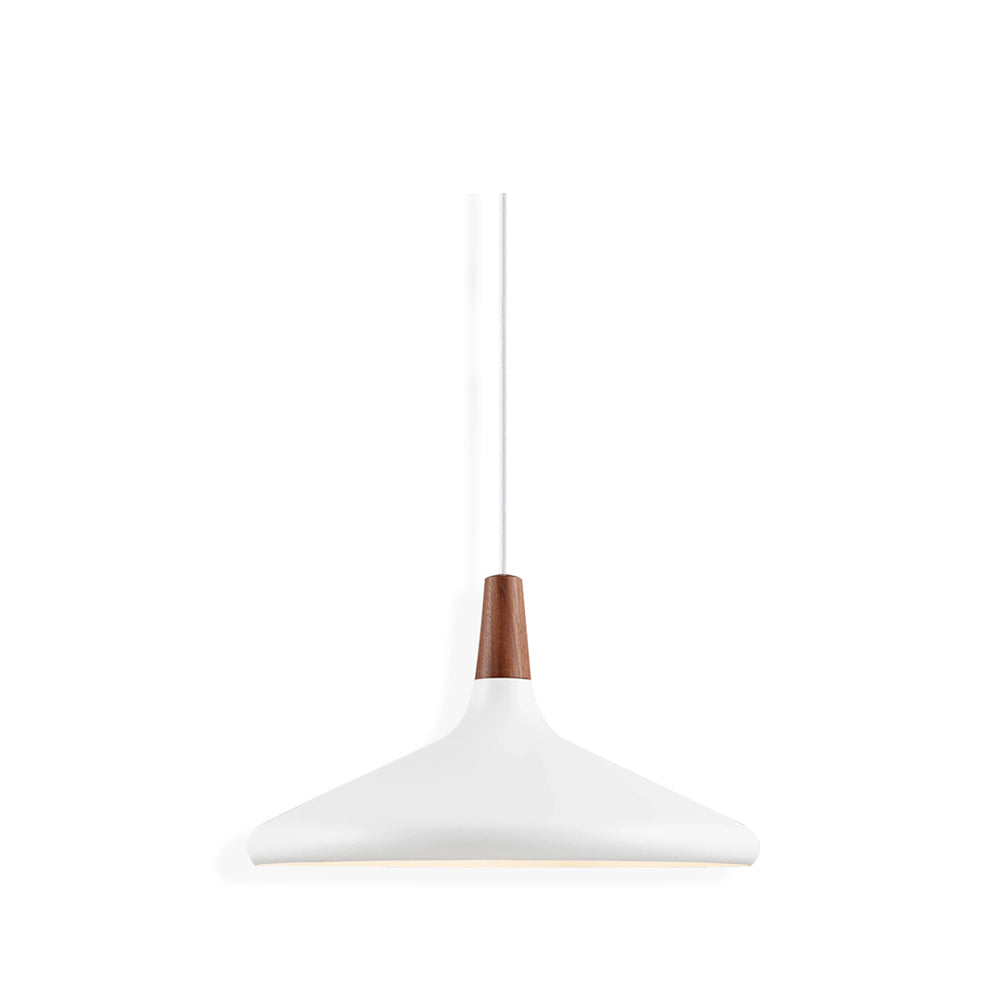 Simple Elegant Pendant Light for Home Ceiling