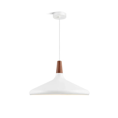 Simple Elegant Pendant Light for Home Ceiling - Fesara