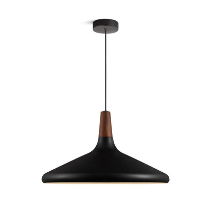 Simple Elegant Pendant Light for Home Ceiling