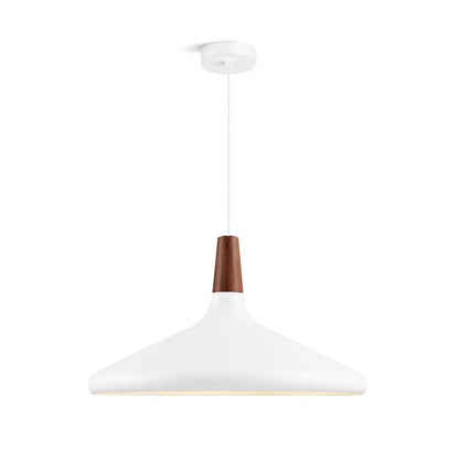 Simple Elegant Pendant Light for Home Ceiling