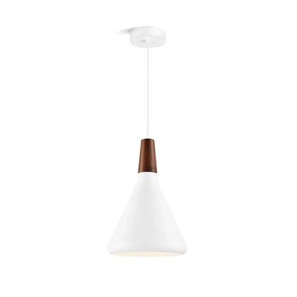 Simple Elegant Pendant Light for Home Ceiling