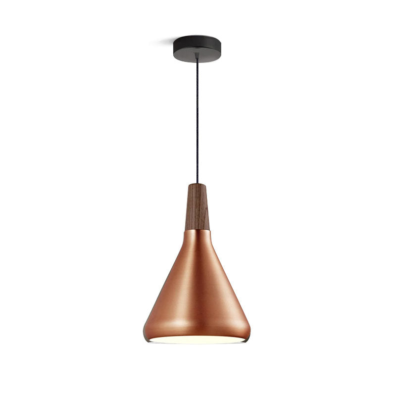 Simple Elegant Pendant Light for Home Ceiling